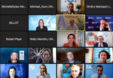 La capture d'écran d'une réunion virtuelle de la Plateforme de collaboration régionale pour l'Europe et l'Asie centrale sur Zoom, montrant 16 petits écrans avec, sur chacun, le nom ou le visage d'un participant ou d’une participante.