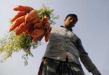 Camera facing upwards at a person holding a bunch of carrots.