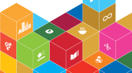 Cover shows title placed on the top left of the document, displayed above colourful SDG building blocks, several of which contain the SDG logos. 