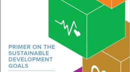 Cover shows SDG blocks on the cover with the title Primer on the Sustainable Development Goals: A Basic Guide to the 2030 Agenda and the SDGs