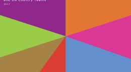 Cover of publication shows colourful diagonal shapes with the title on the top left.