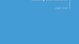 يظهر الغلاف عنوان "موجز سياسات: تأثير كوفيد-19 على الأمن الغذائي والتغذية" على خلفية زرقاء صلبة مع شعار الأمم المتحدة على الجانب الأيسر السفلي.