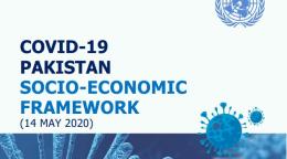 Cover of publication shows coronaviruses with COVID-19 Pakistan Socio-economic Framework
