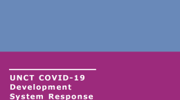 Cover shows the title "UNCT COVID-19 Development System Response Plan for Occupied Palestinian Territory" over blue and purple background.