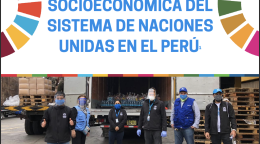 The cover shows a team of UN personnel social distancing and wearing face masks while standing in front of an truck and unloading area. The title is above with two half SDG wheels at either side facing the edges.