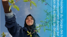 Une jeune femme tend le bras vers une branche d'arbre. Le logo du Bureau de la coordination des activités de développement apparaît en haut à gauche de la couverture et le titre du rapport de la Présidente du GNUDD est affiché verticalement sur le bord droit de la couverture.