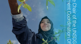 The cover shows an image of a young woman reaching for a tree branch with the UN emblem to the top left of the cover and title displayed vertically across the right edge of the cover.