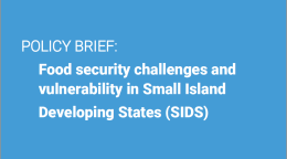 The title is in white against a solid blue background with the UN emblem and co-author log at the top over a thick white horizontal bar.