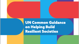 Cover has a white background with the SDG colours presented as elongated and curved oval shapes stretching across the entire cover, with the title positioned centered in front of one of the shapes.