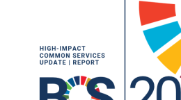 Cover of High Impact common services with an SDG wheel and UNSDG logo
