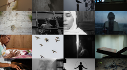 A collection of pictures by the 8 refugees in UNHCR India's mentorship programme