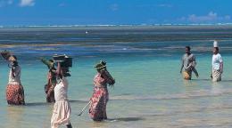 Женщины и мужчины идут по колено в морской воде, неся на голове грузы.