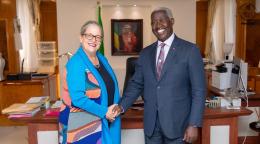 A woman in a blue dress shakes the hand of a man in a dark grey suit in an official setting