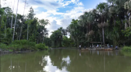 Reserva del Manu, Peru