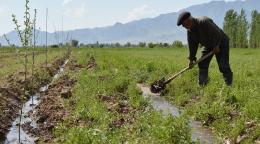 A man is outdoors using a shovel to till the fields