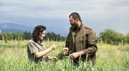 Two persons harvesting crops