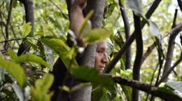 An Indigenous woman amidst the trees in Brazil.