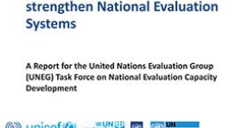 Portada del documento con un fondo blanco y párrafos de texto, más distintos logos de entidades de la ONU.