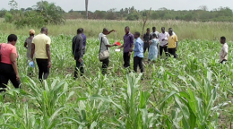 مجموعة من الأشخاص في حقل.