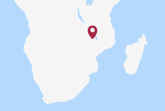 A borderless map of South America with a pin located on Malawi.