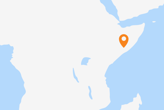 A map of Africa with a marker on Somalia.