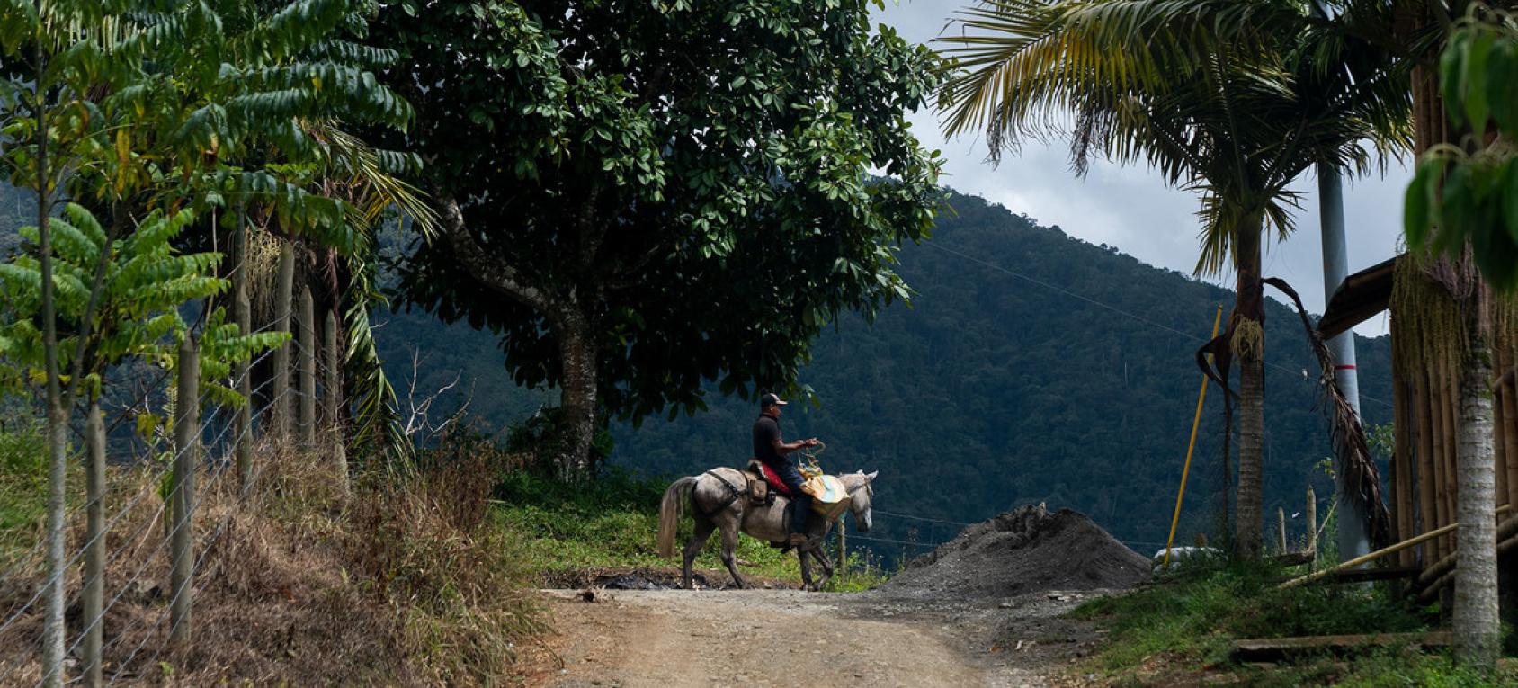 Se ve a un hombre al final de un camino de tierra sentado en un caballo al aire libre, cerca de una tierra verde y exuberante.