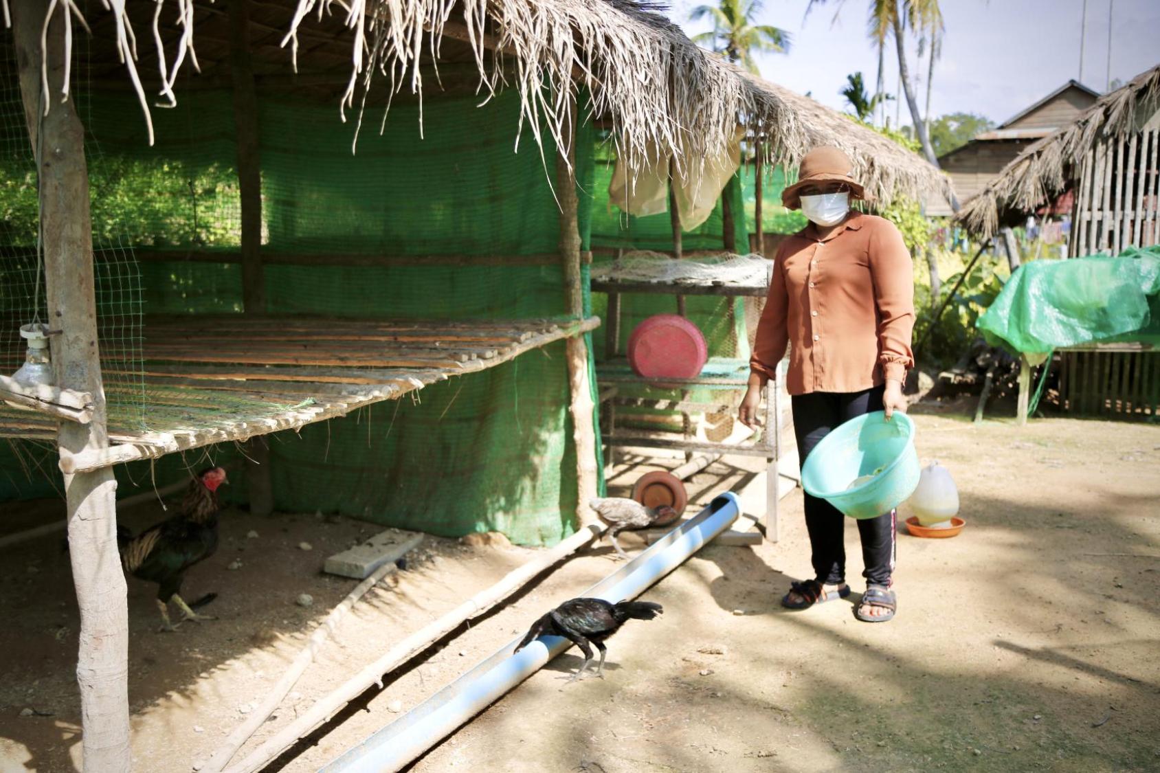 Una mujer alimenta a sus pollos.