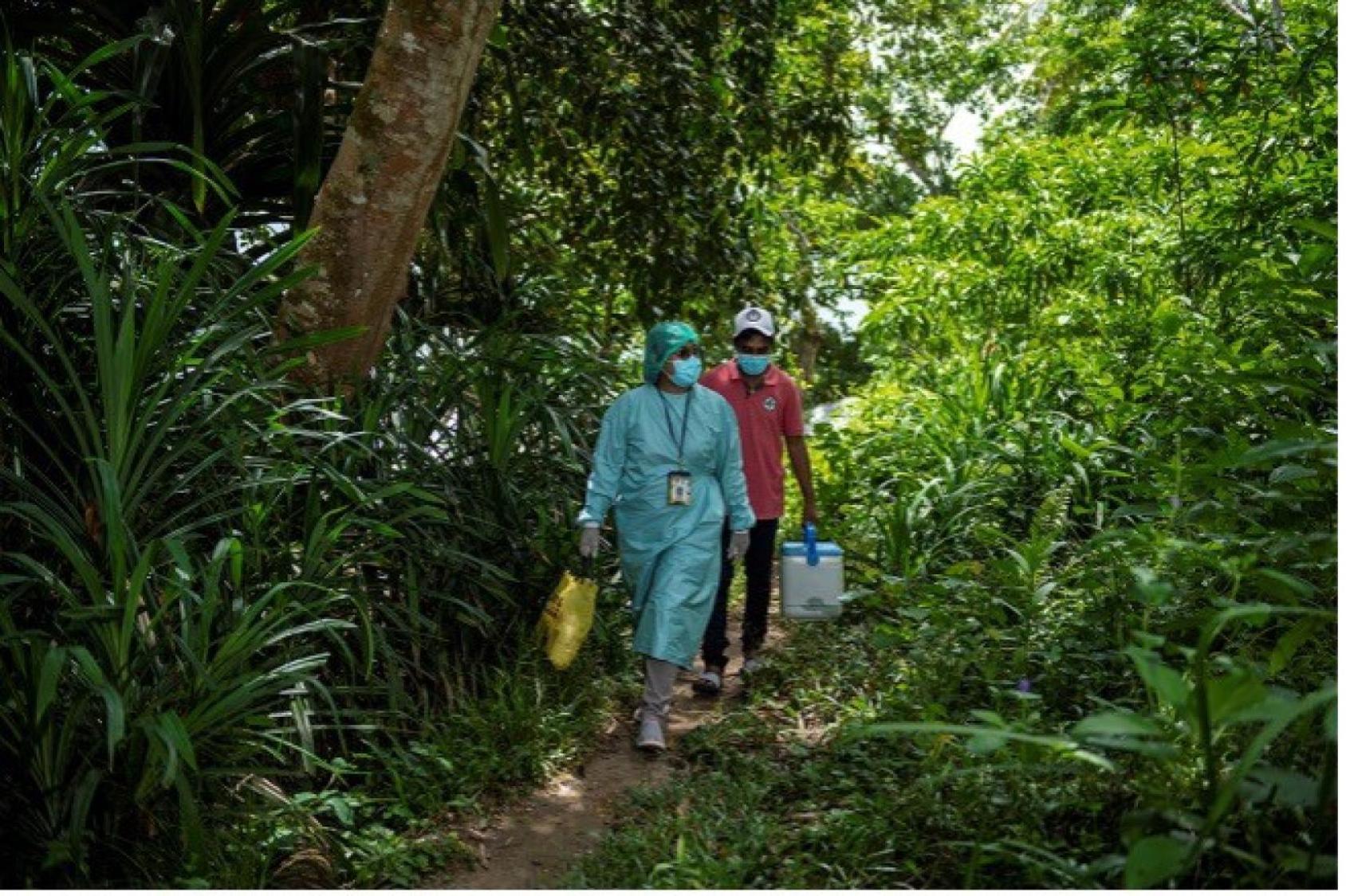 امرأة ورجل يمشيان في الغابة ويحملان صناديق تخزين طبية.