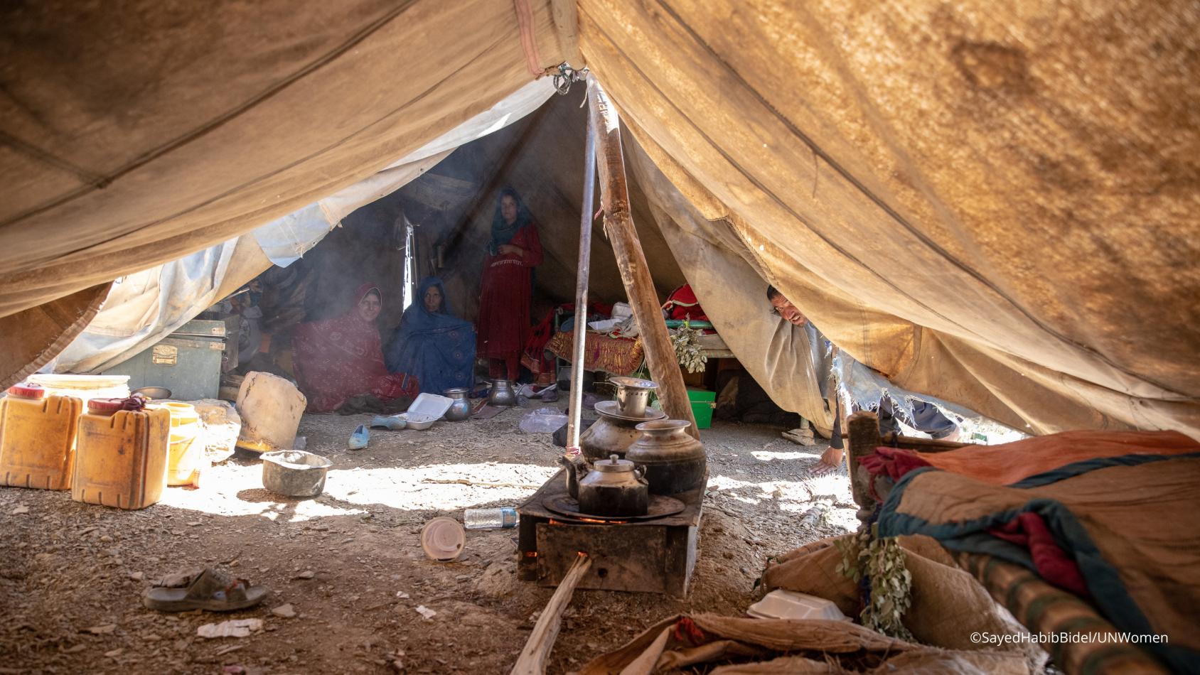 Палатка, поставленная прямо на земле, подпертая стволом дерева.