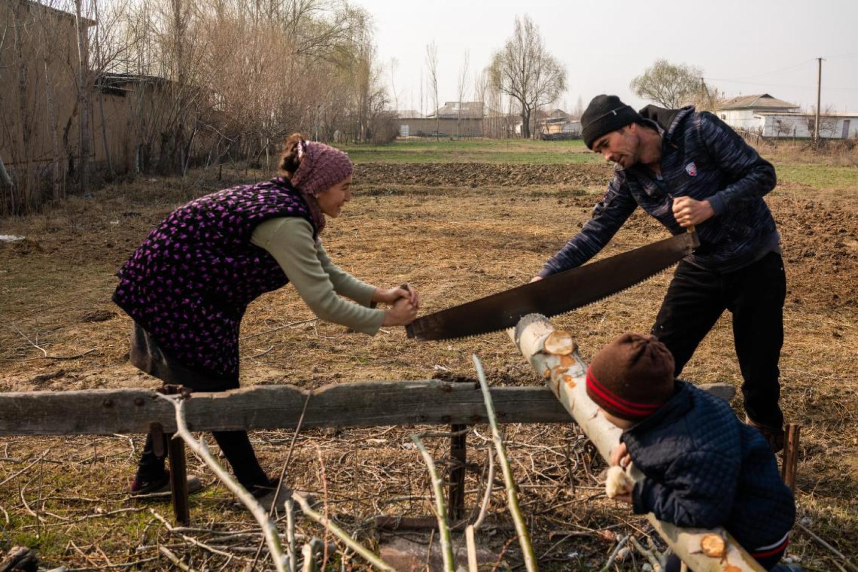 A man and a woman sawing log in a backyard. 
