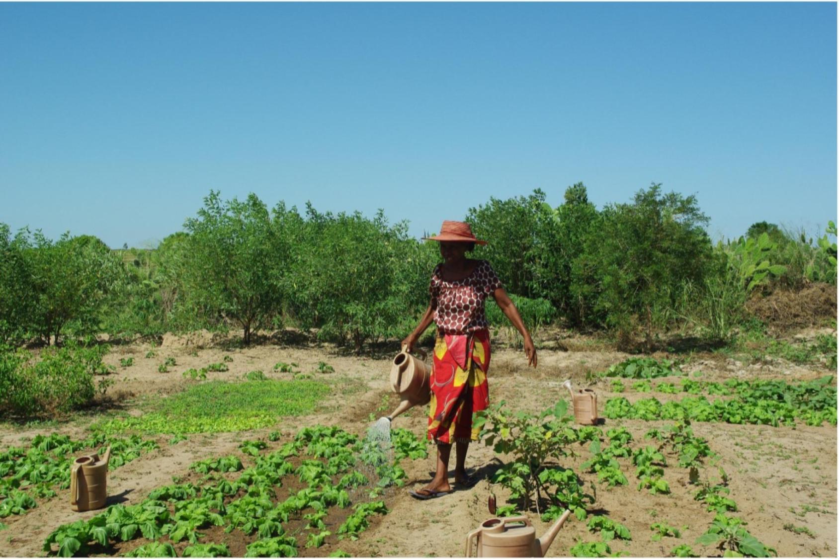 Woman in a red dress stands with a farming hoe in a farm with green plants at her feet