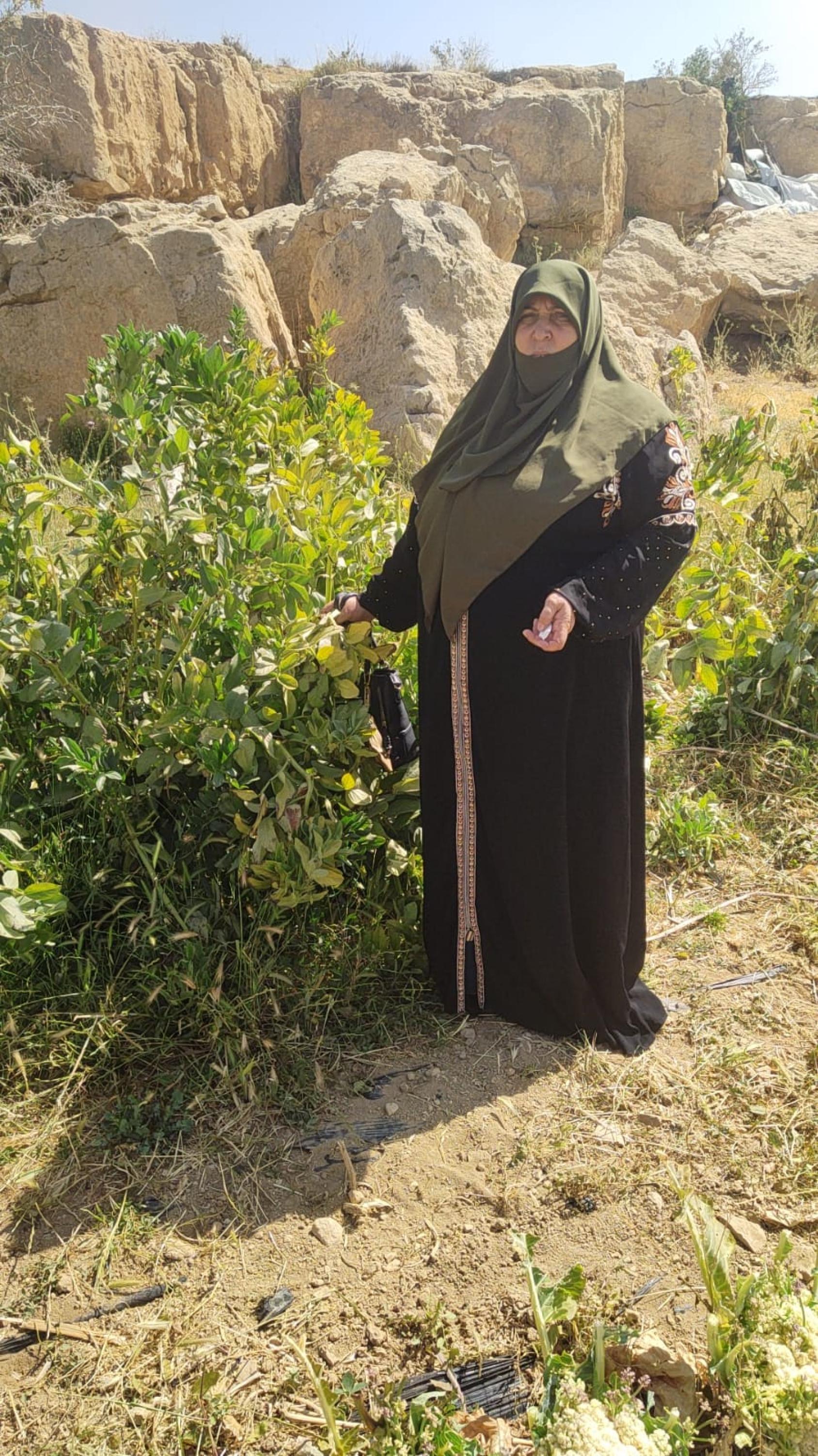 A woman in a black dress and green headscarf stands in front of a green plant growing against rocks