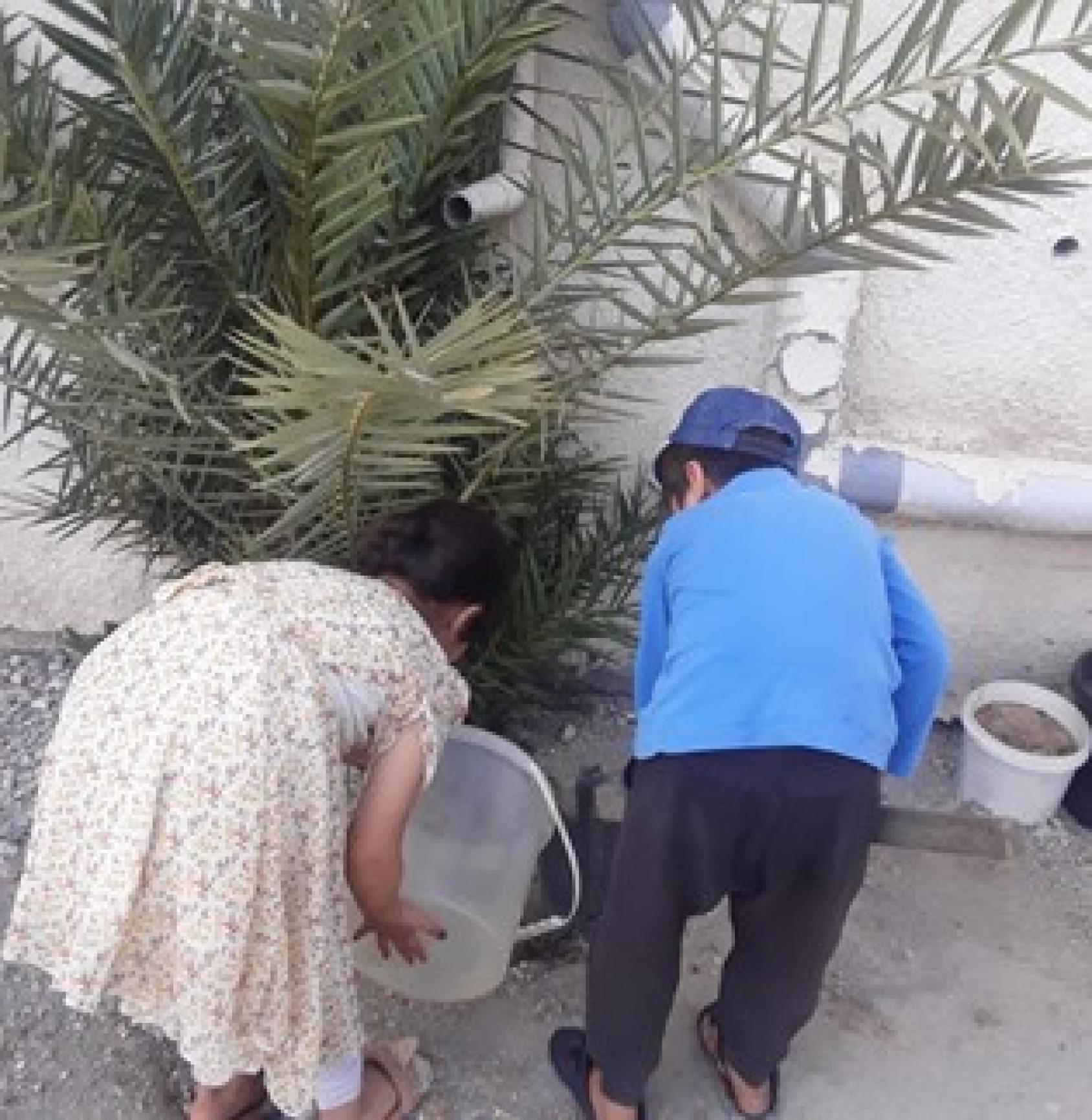 A girl and a boy pour a bucket of water into a palm plant