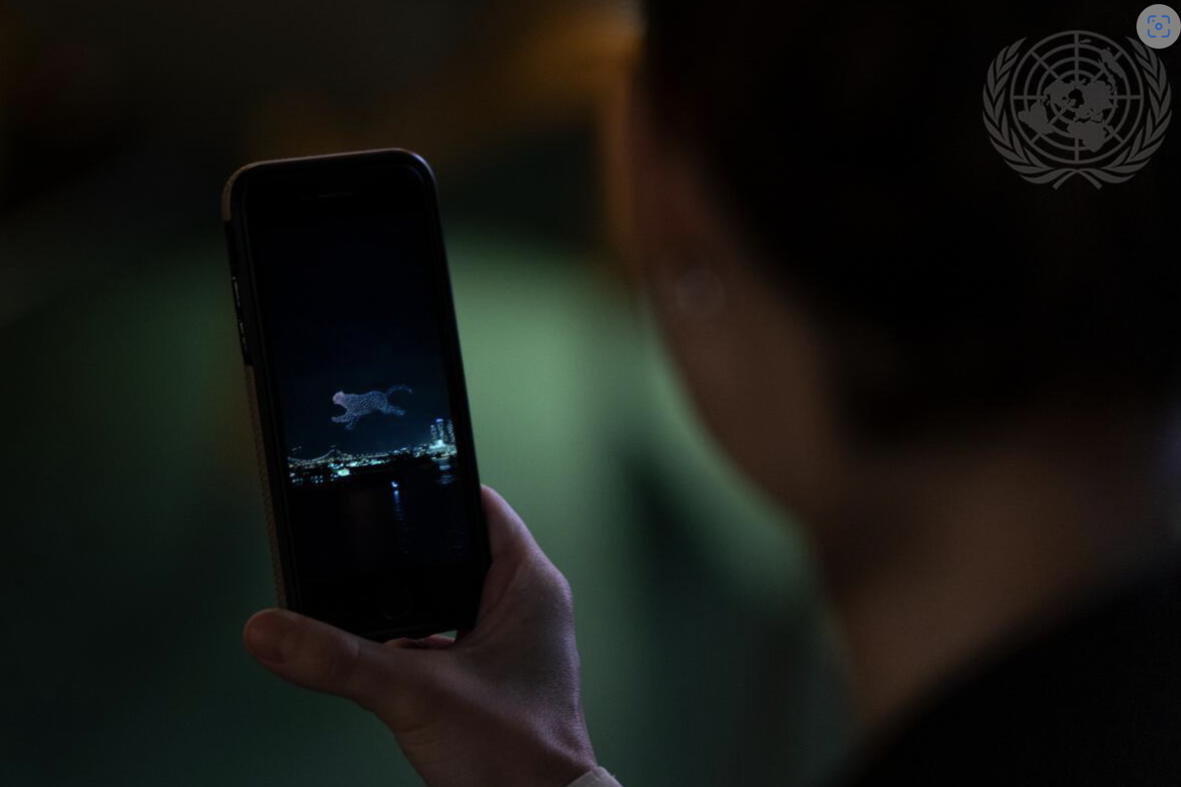 The silouette of a woman with dark hair looking into an image on her phone.