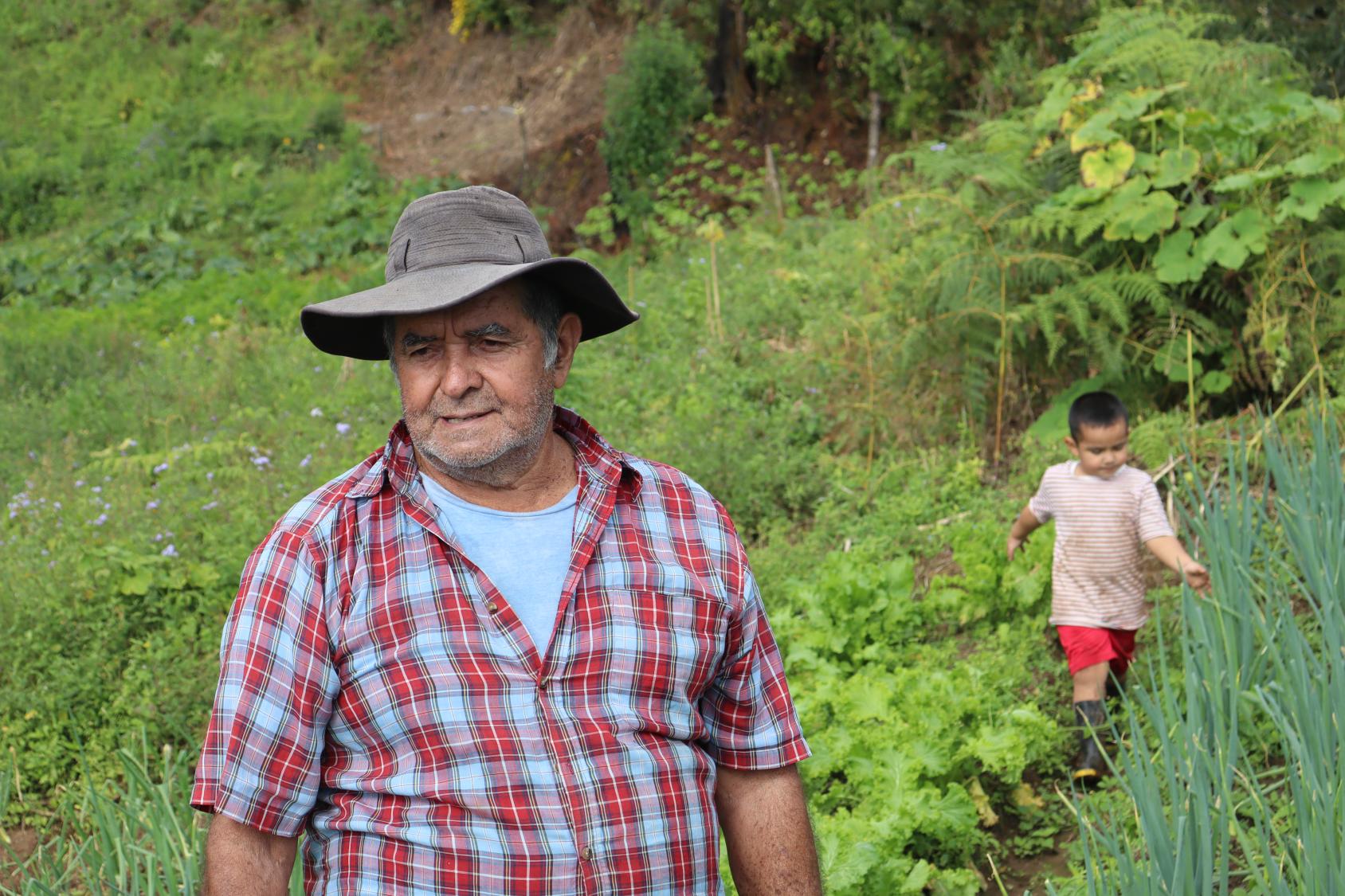 A man in a flannnel shirt and hat and a small boy walk through green fields