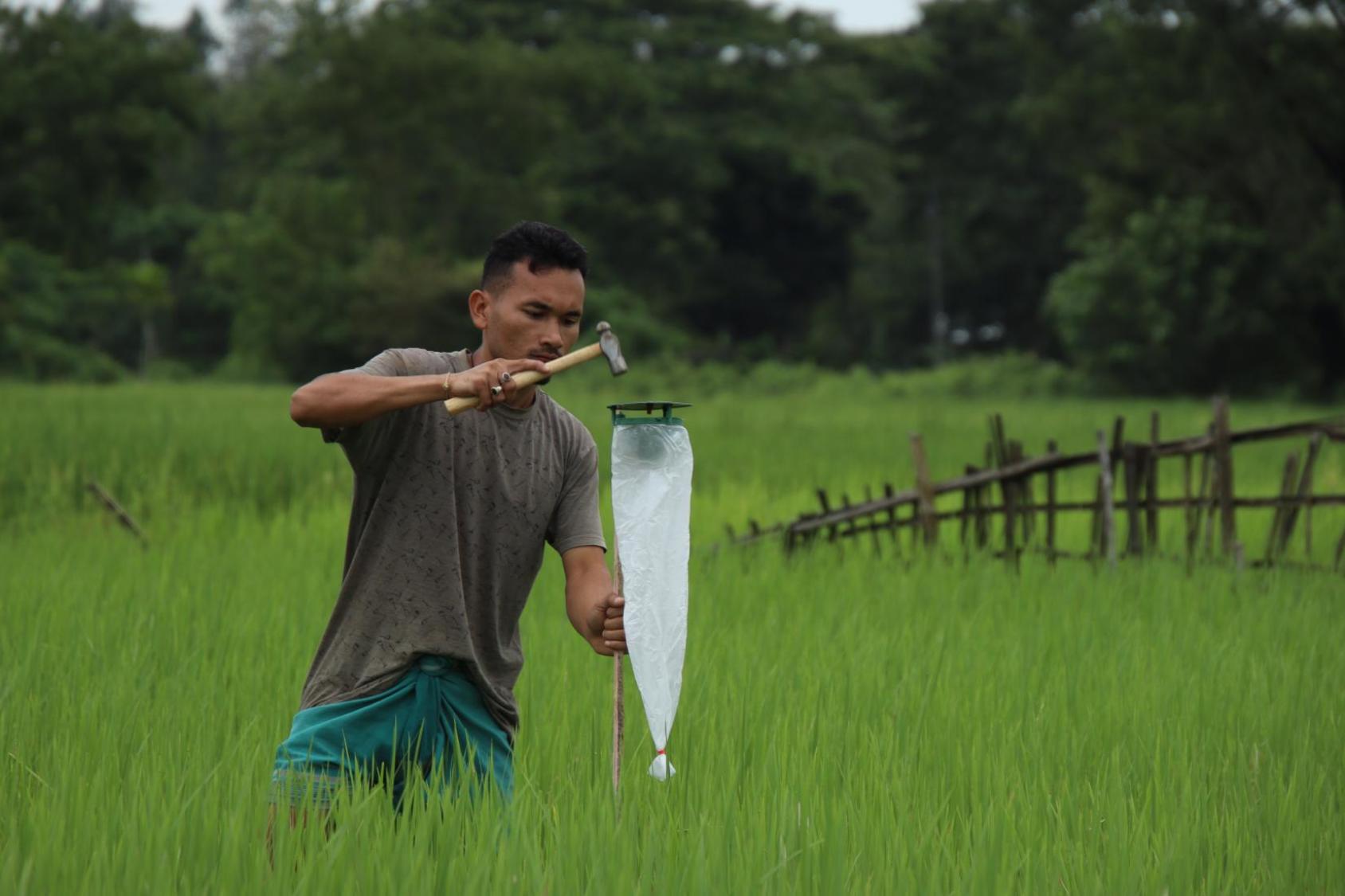 A man with a hammer builds a trap in a green field