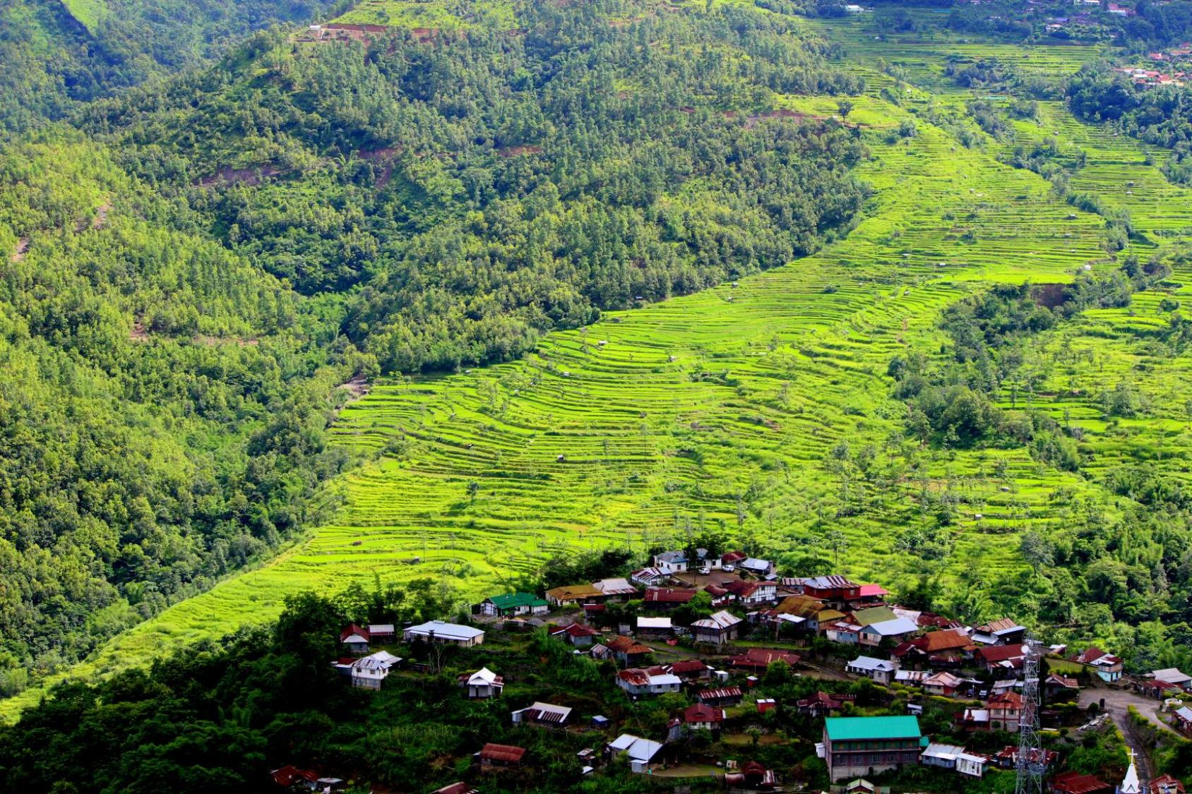 A group of houses bordered by a vast green mountain filled with trees.