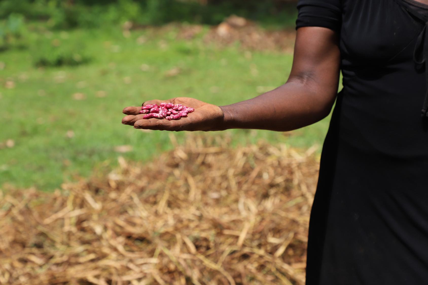 Агнес Бараса показывает выращенную фасоль