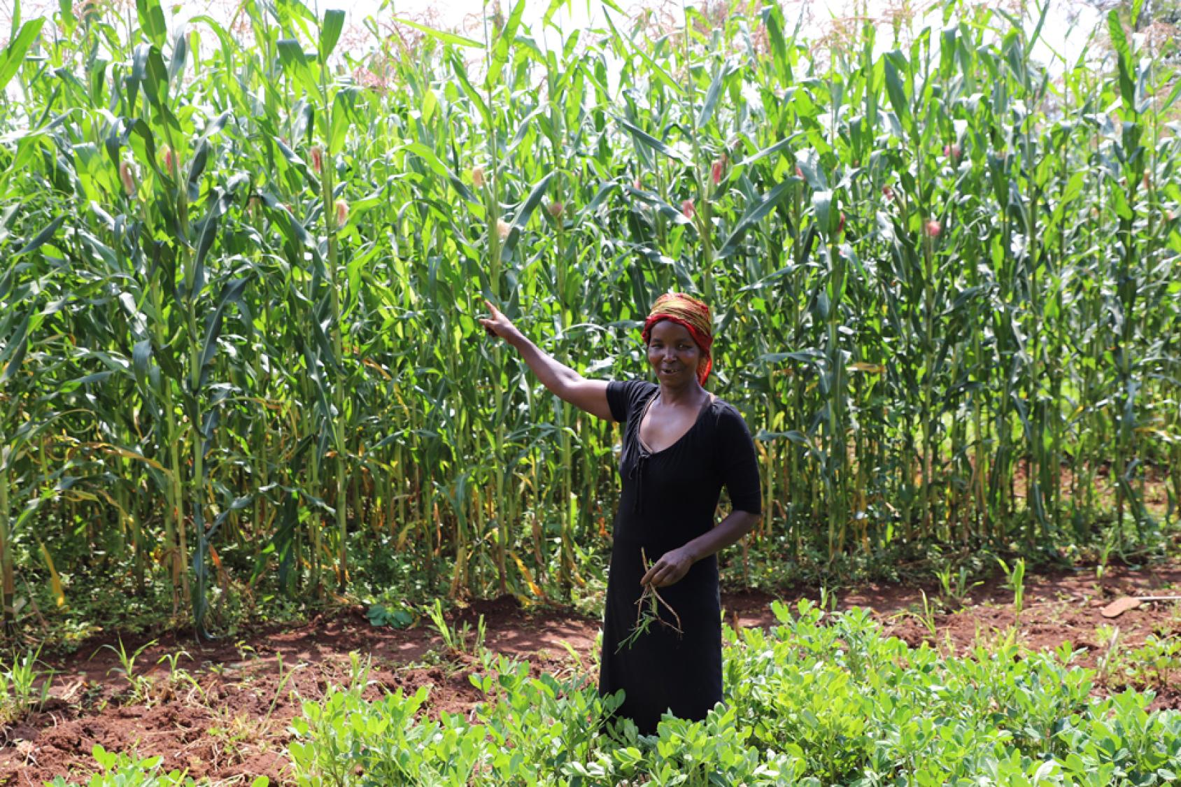 Агнес Бараса указывает на свое кукурузное поле