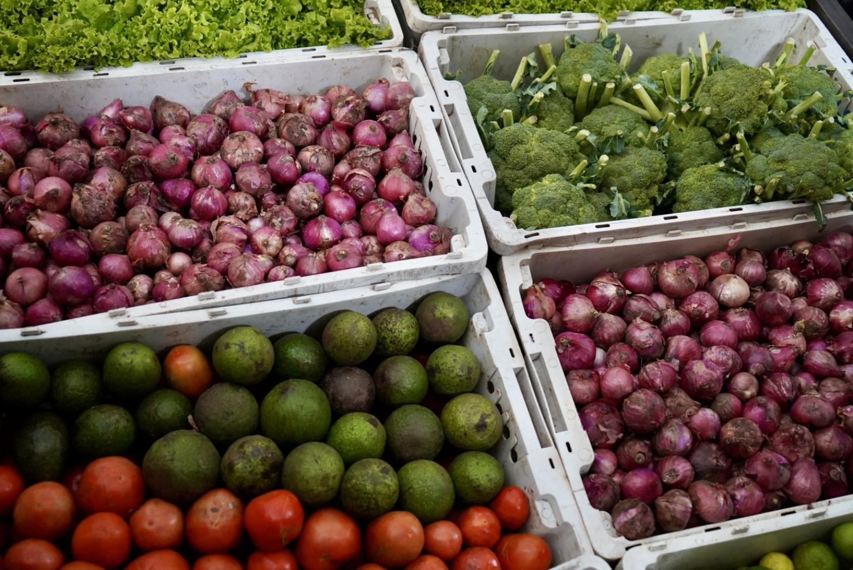 A box of different kinds of vegetables 
