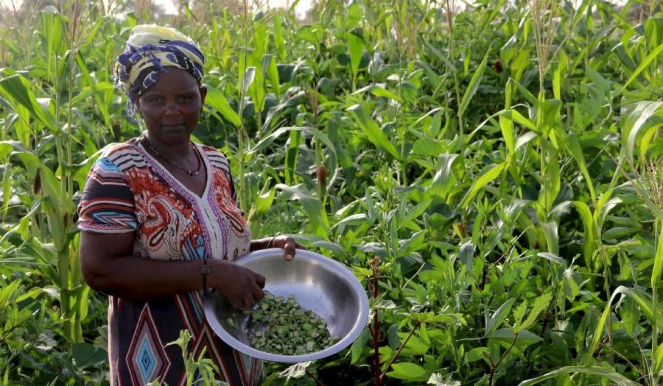 Una mujer se encuentra en medio de un campo de cultivo verde. Ella sostiene un cuenco de frijoles en sus manos, mirando a la cámara.