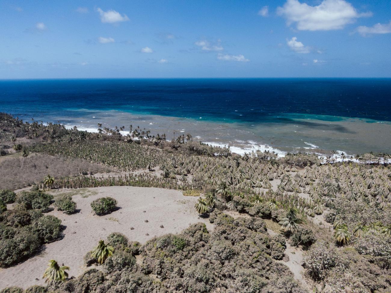 Una imagen panorámica de un océano y de la arena, las plantas y las rocas cercanas. 