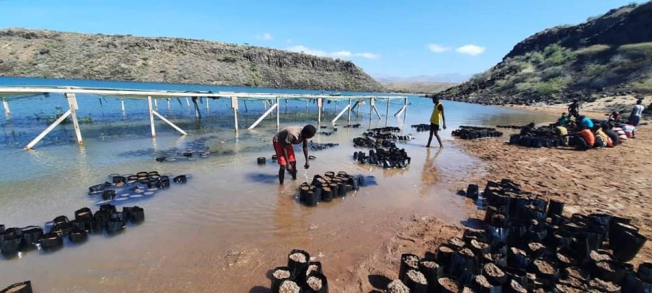 في يوم مشمس، يضع الناس الرمال في الأكياس لإنشاء جدار لمنع حدوث الفيضانات بالقرب من الجسر.