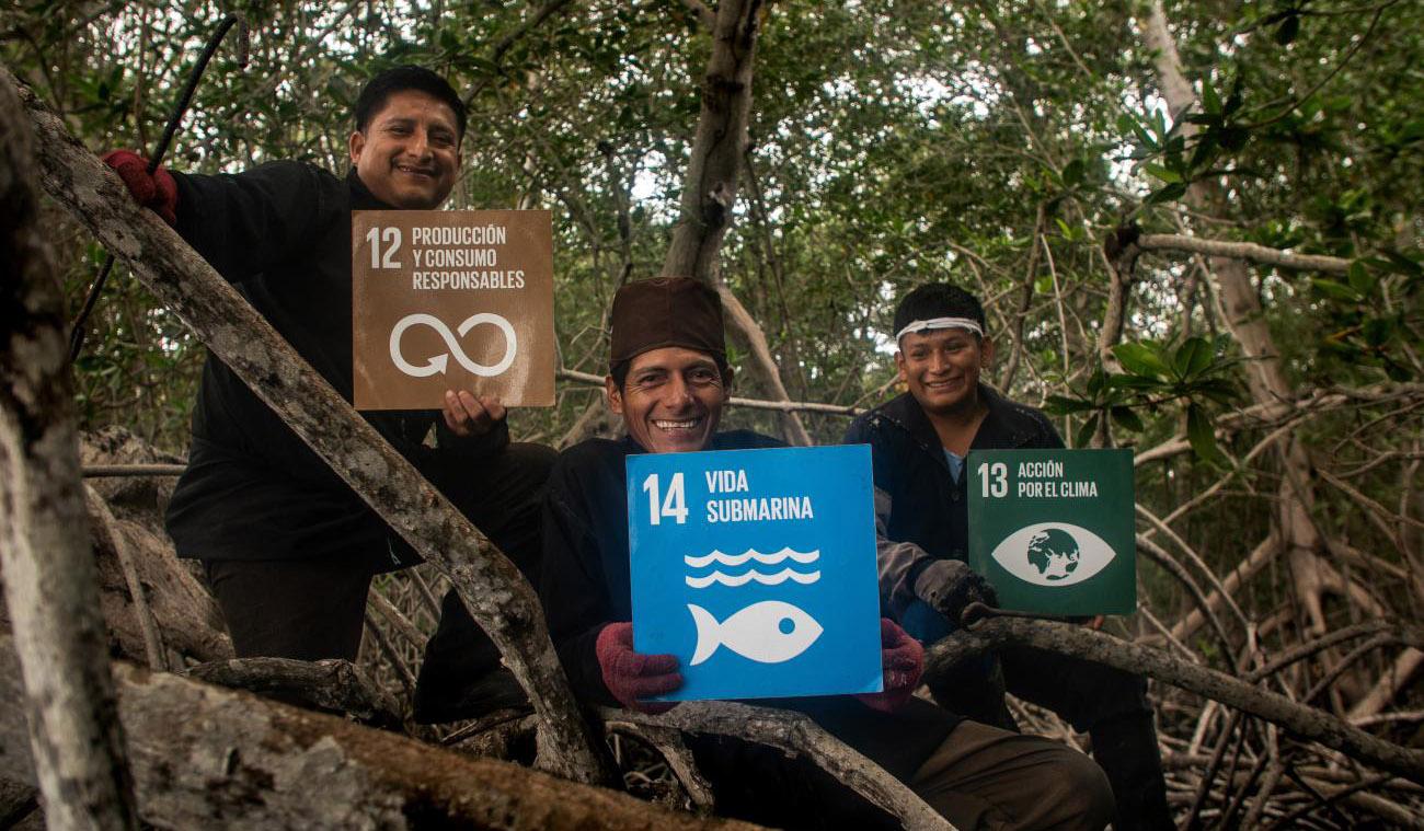 Three men, sitting in trees, hold three of the climate-related SDG signs, in Spanish, up. 