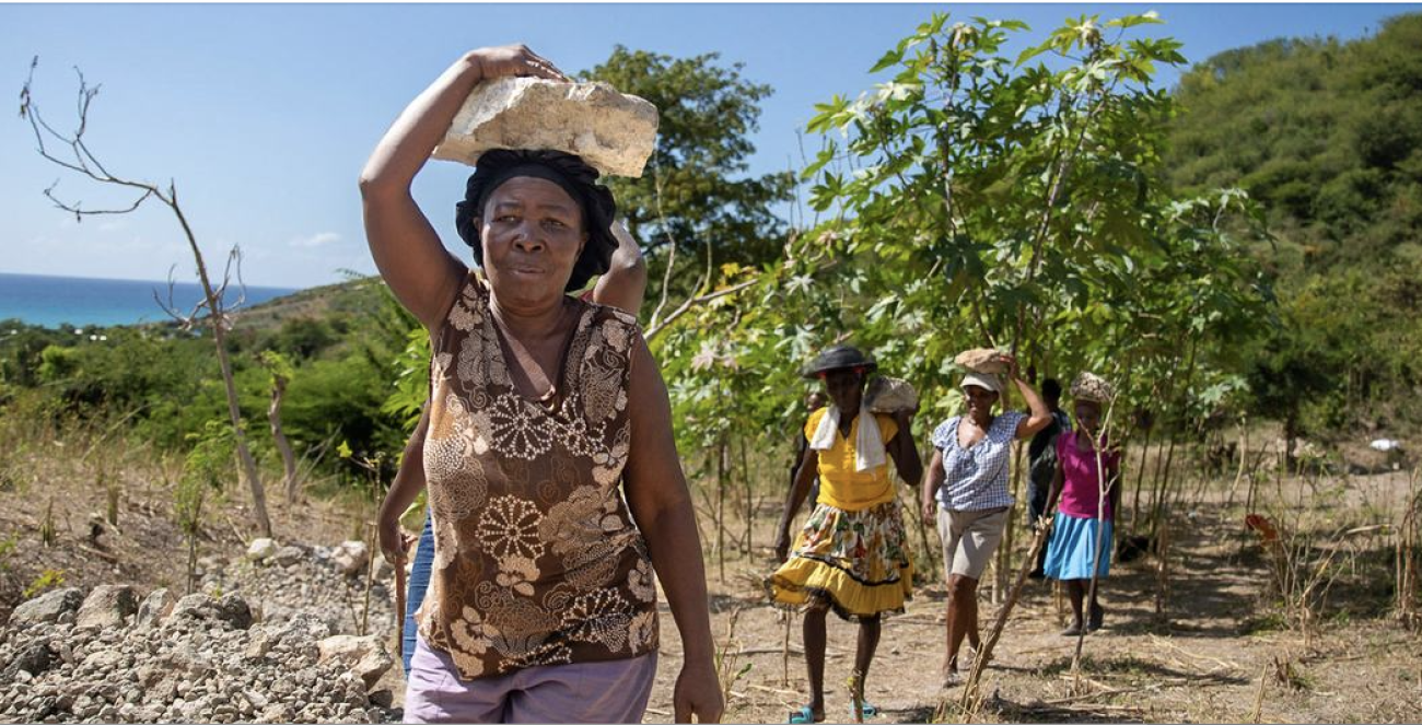 Women join a community effort to rehabilitate roads damaged by the earthquake in the south-west of Haiti.
