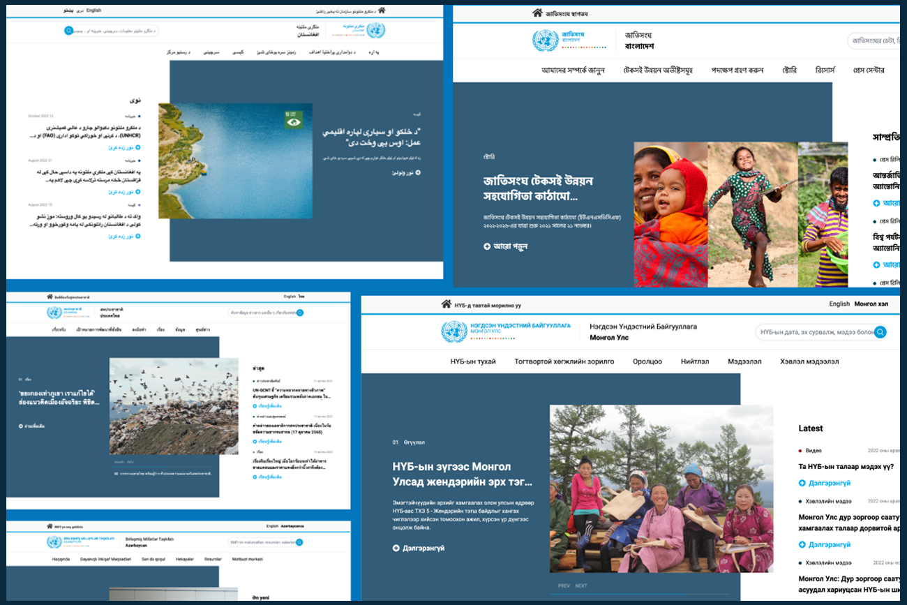 لقطات شاشة لمواقع فرق الأمم المتحدة القطرية.