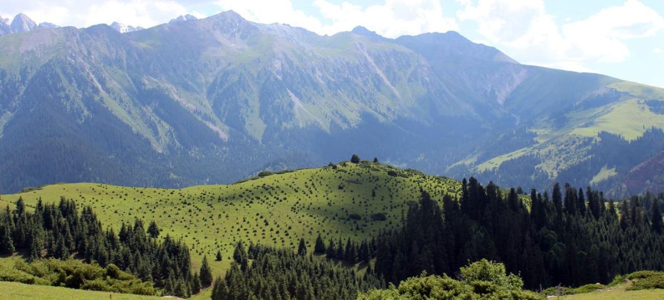 ©FAO Au Kirghizistan, la FAO et ses organisations partenaires s'efforcent de restaurer les écosystèmes essentiels à la lutte contre le changement climatique.