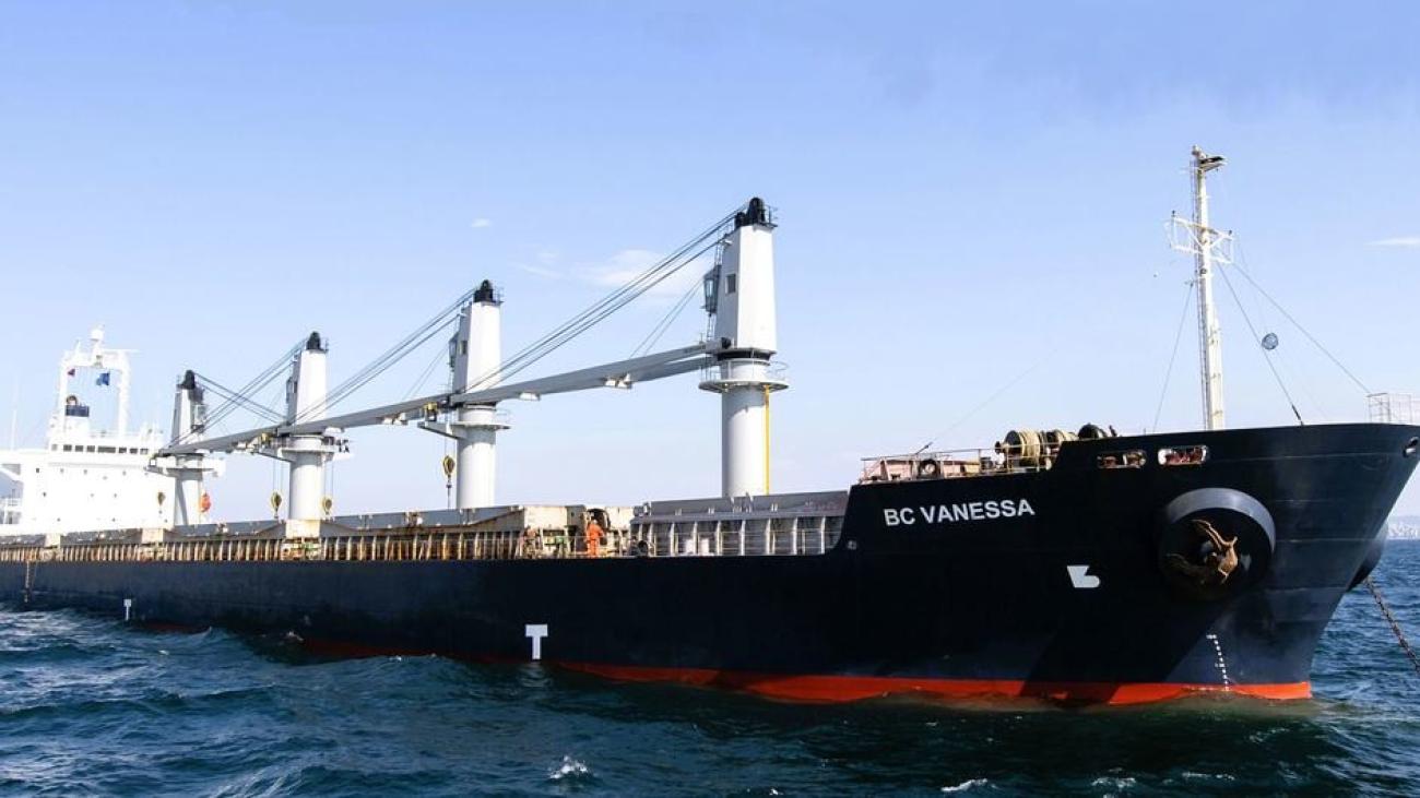Судно ВПП ООН RC Vanessa, перевозящее пшеницу из Украины в Афганистан, ожидает инспекции в Мраморном море.