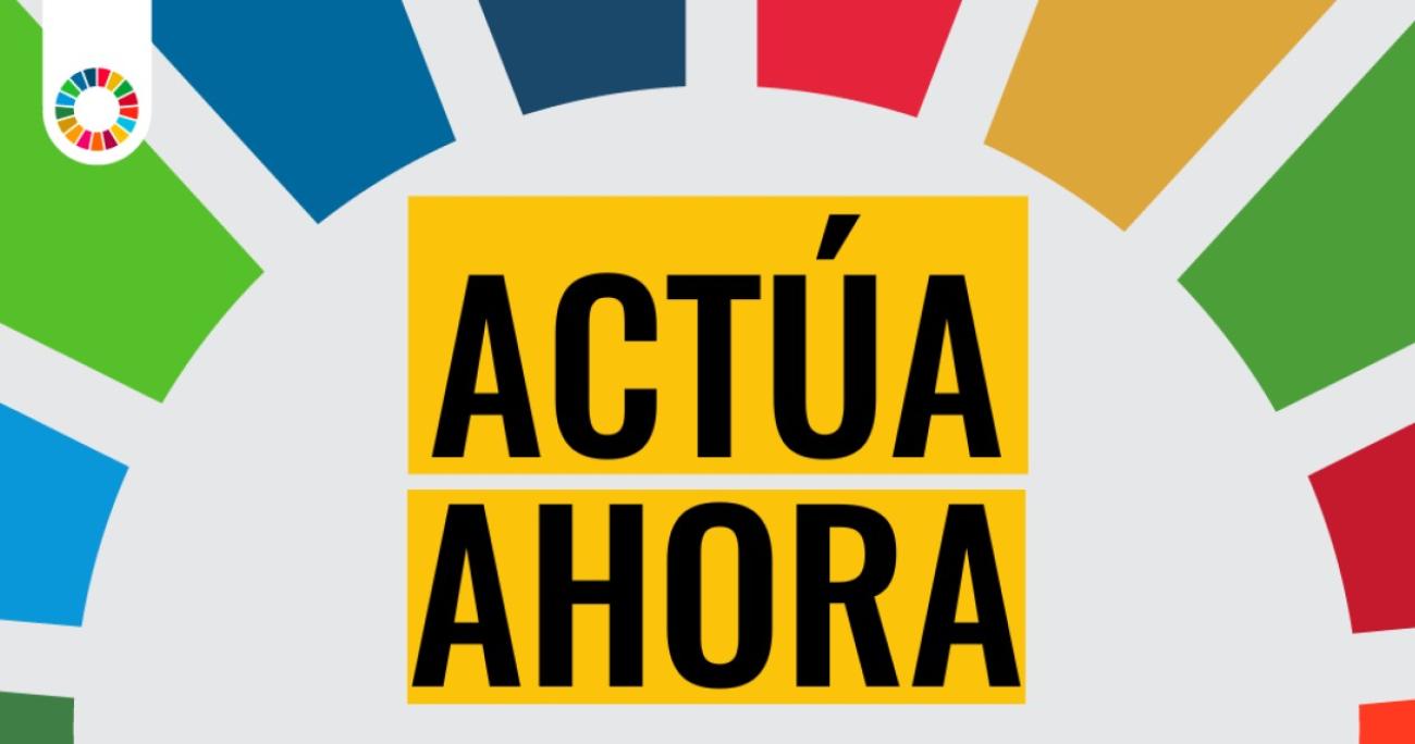 SDG color and text describing taking action for the SDGs