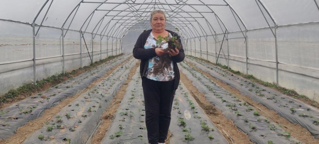 Женщина с саженцами в руках стоит в теплице на фоне грядок